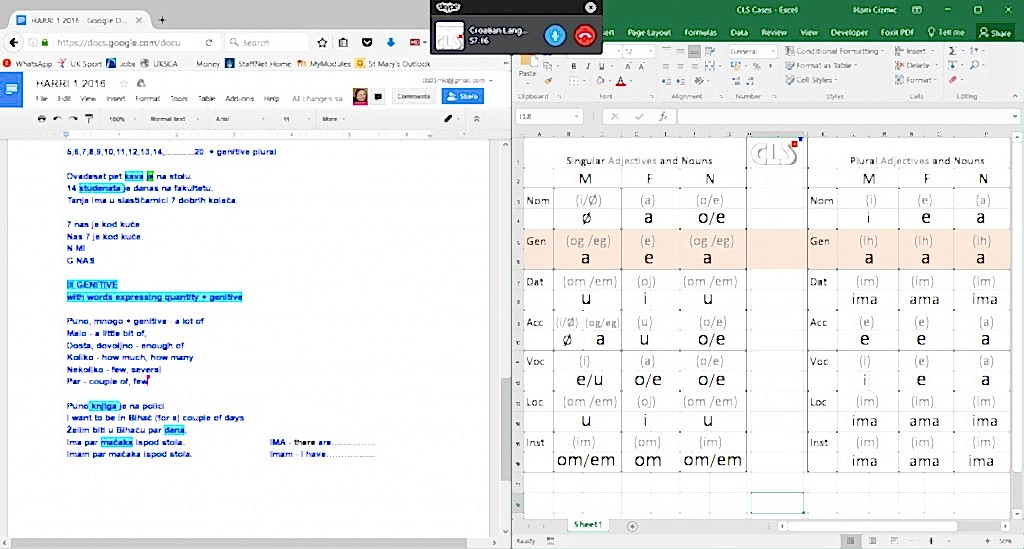 Skype lesson screen shot